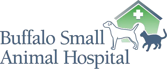 Company logo of Buffalo Small Animal Hospital