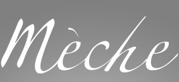 Company logo of Meche Salon