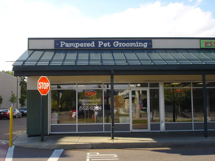 Company logo of Pampered Pet Grooming & Supply