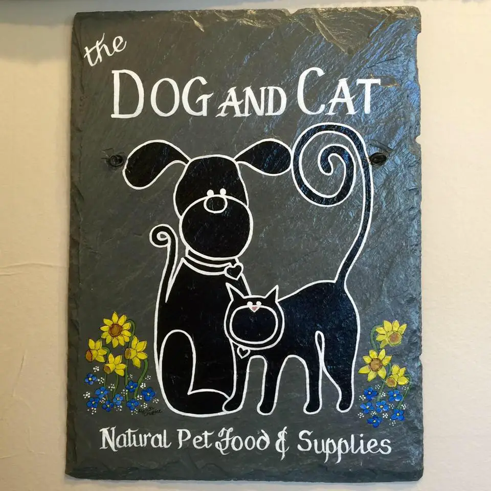 Company logo of The Dog and Cat