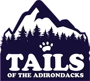 Company logo of Tails of the Adirondacks