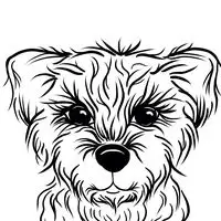 Company logo of J & J's Doggie Styles