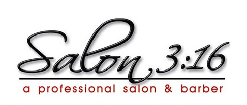 Company logo of Salon 3:16