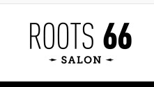 Company logo of Roots 66 Salon