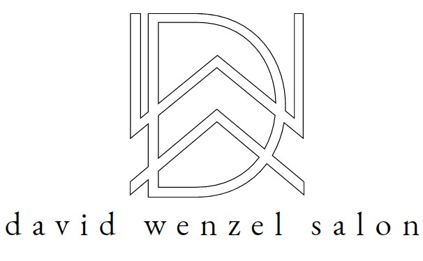 Company logo of David Wenzel Salon