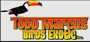 Company logo of Todd Marcus Birds Exotic