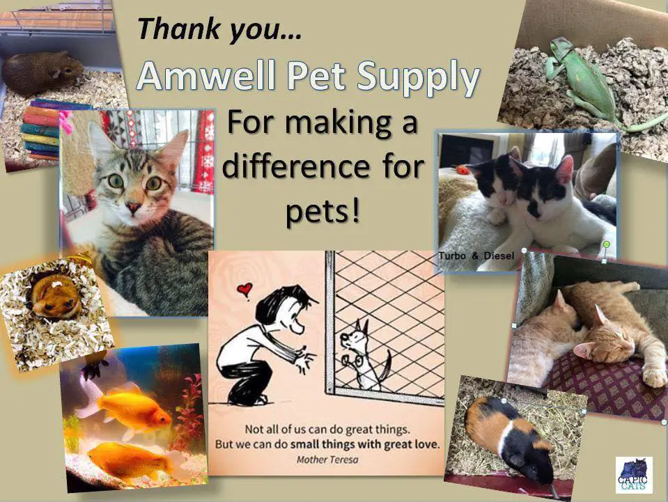 Amwell Pet Supply