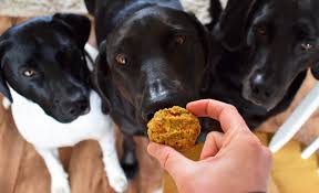 Heavenly Pet Treats