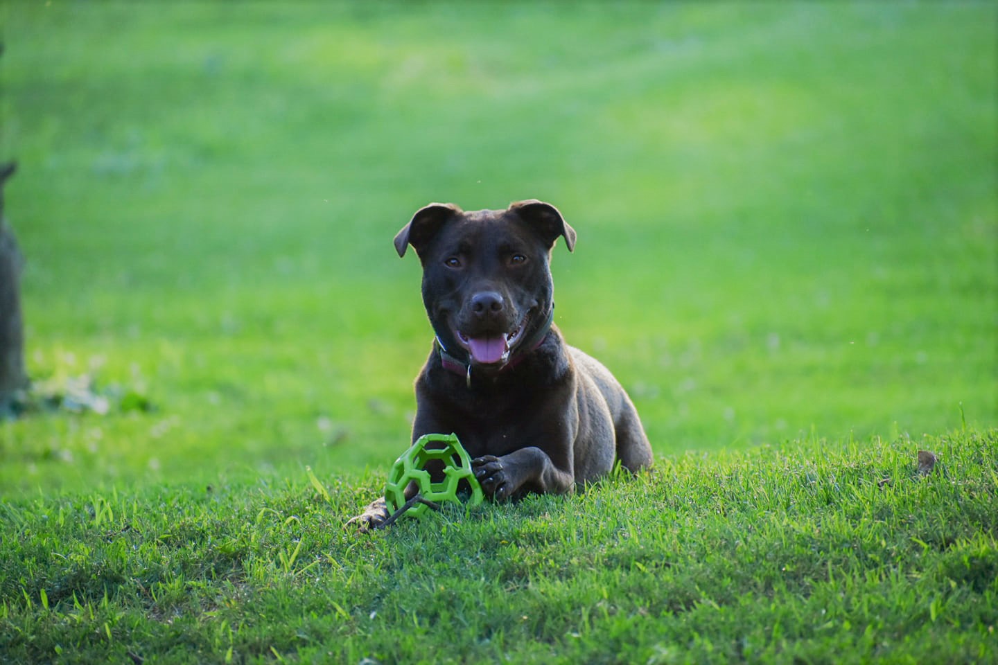 Harleysville Feed, Inc