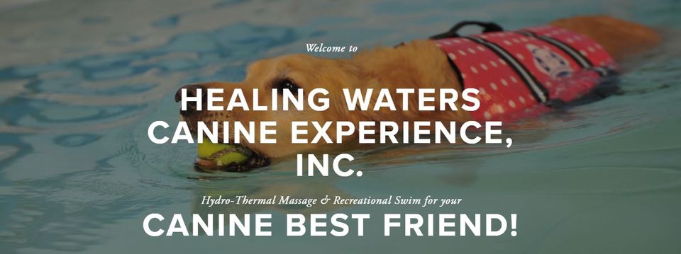 Healing Waters Canine Exprnc