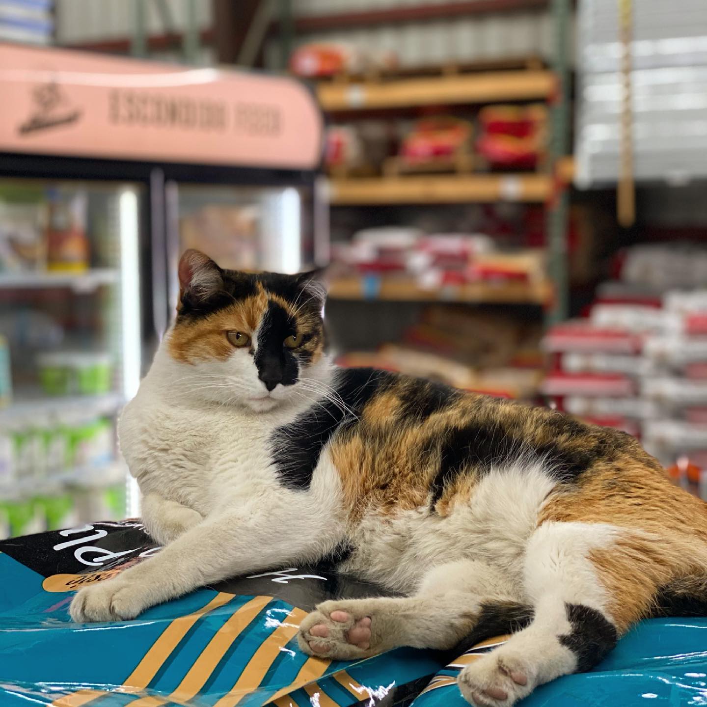 Escondido Feed & Pet Supply