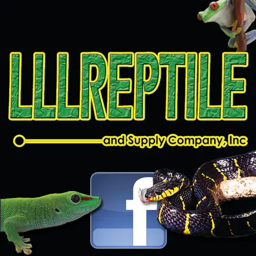 Company logo of LLLReptile and Supply Escondido