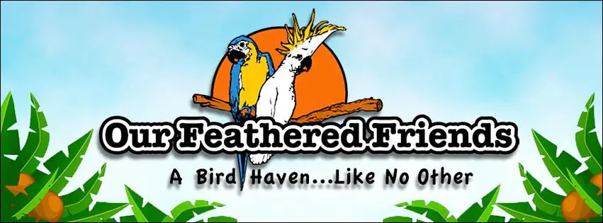 Company logo of Our Feathered Friends