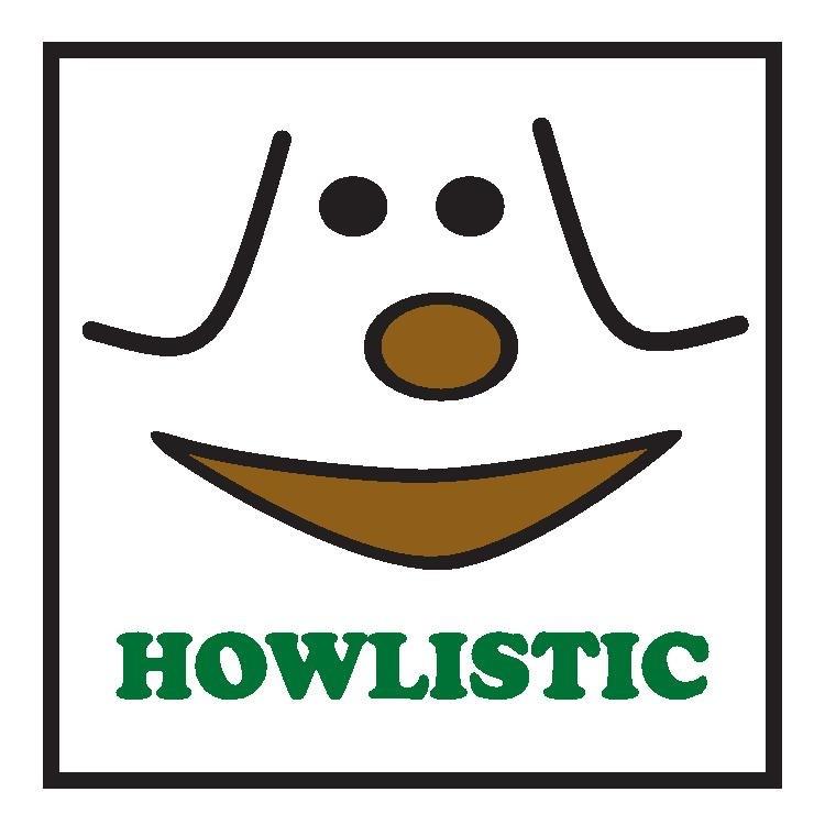 Company logo of HOWLISTIC