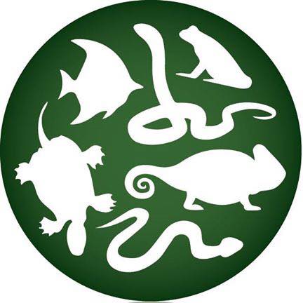 Company logo of Pet Kingdom