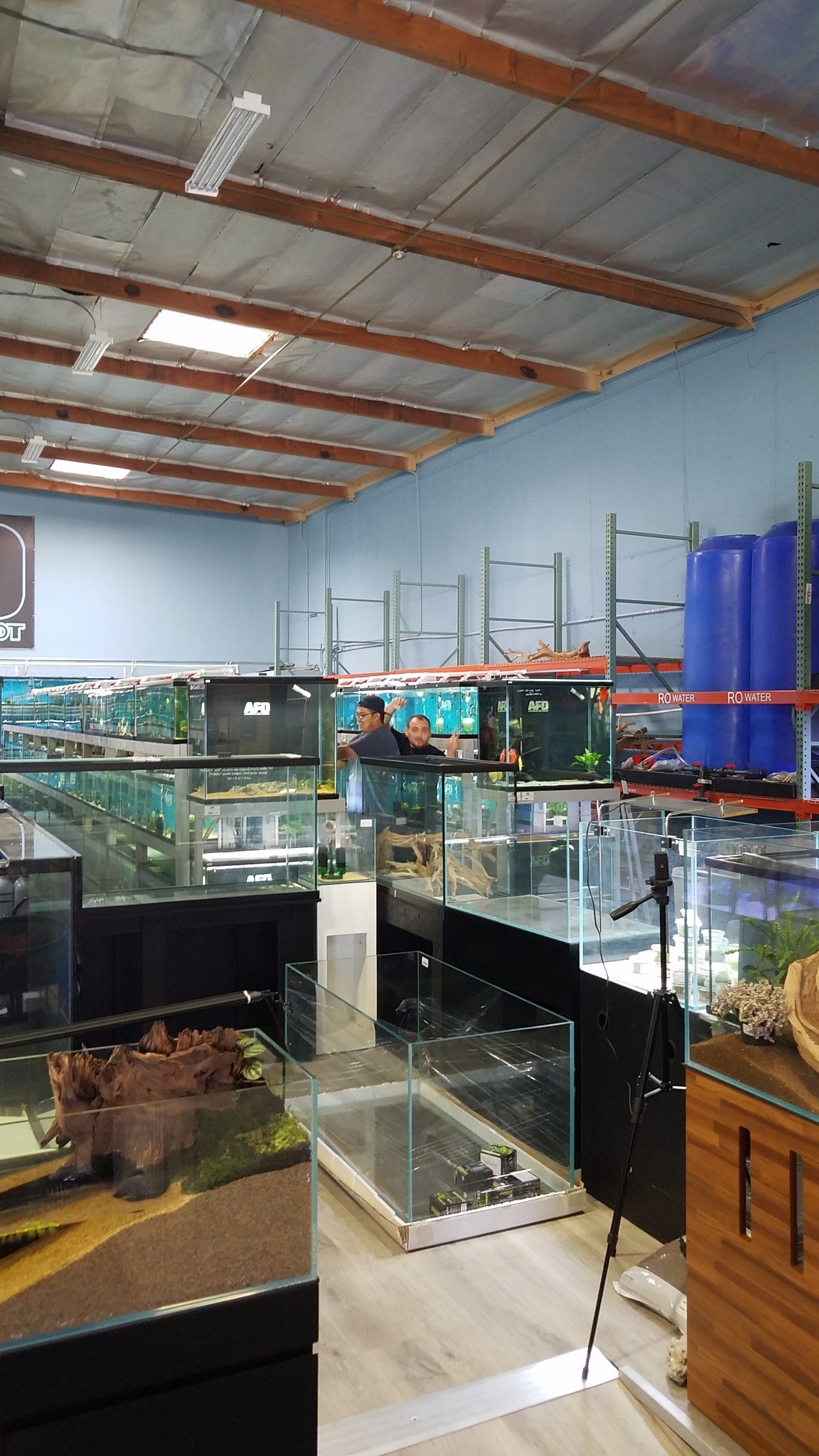 Aquarium Fish Depot