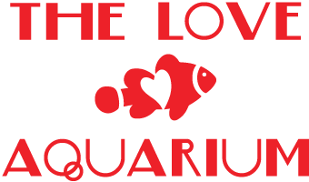 Company logo of The Love Aquarium
