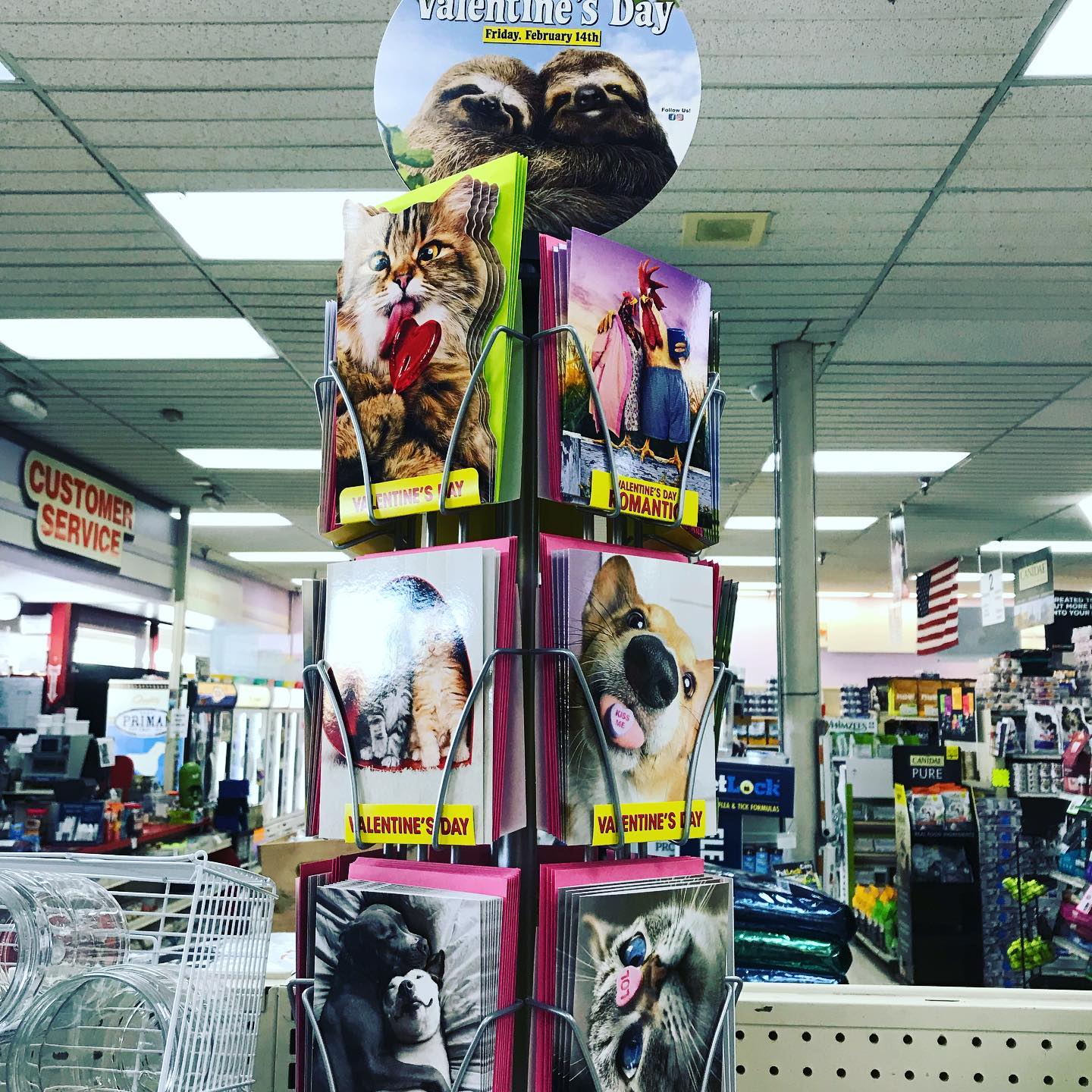 Pet Supply