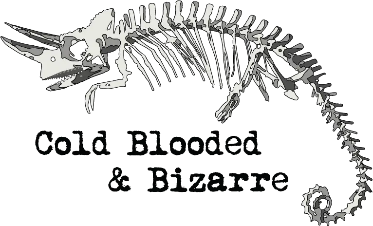 Company logo of Cold Blooded & Bizarre