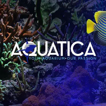 Company logo of Aquatica