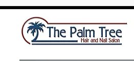Company logo of Palm Tree Hair & Nail Salon