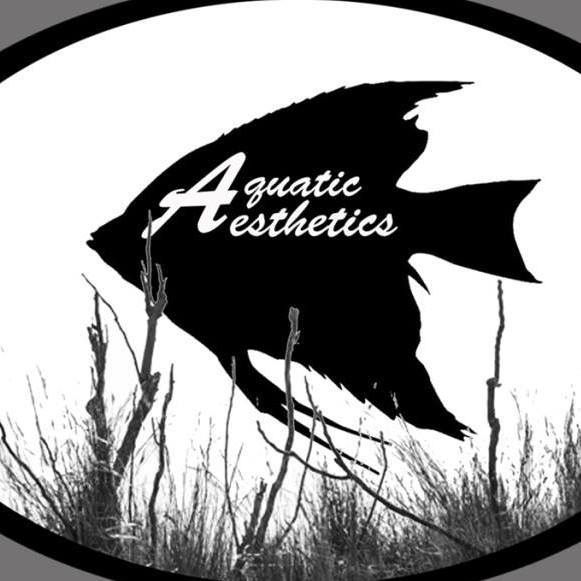 Company logo of Aquatic Aesthetics
