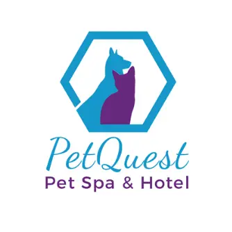 Company logo of PetQuest Spa & Hotel