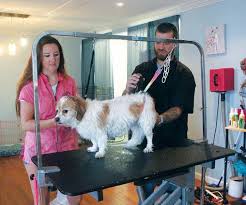 Four Paws Pet Salon