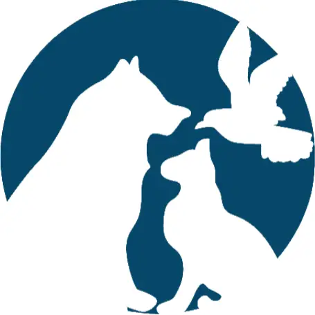Company logo of Liz's Pet Shop