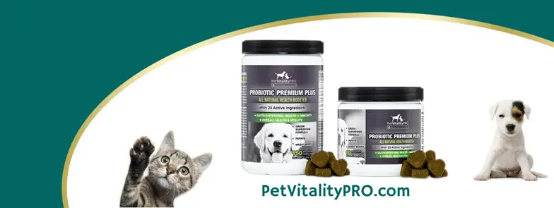 PetVitality PRO