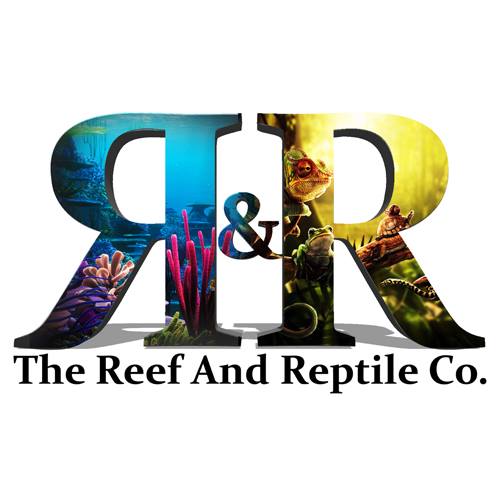 Company logo of Reef and Reptile Company