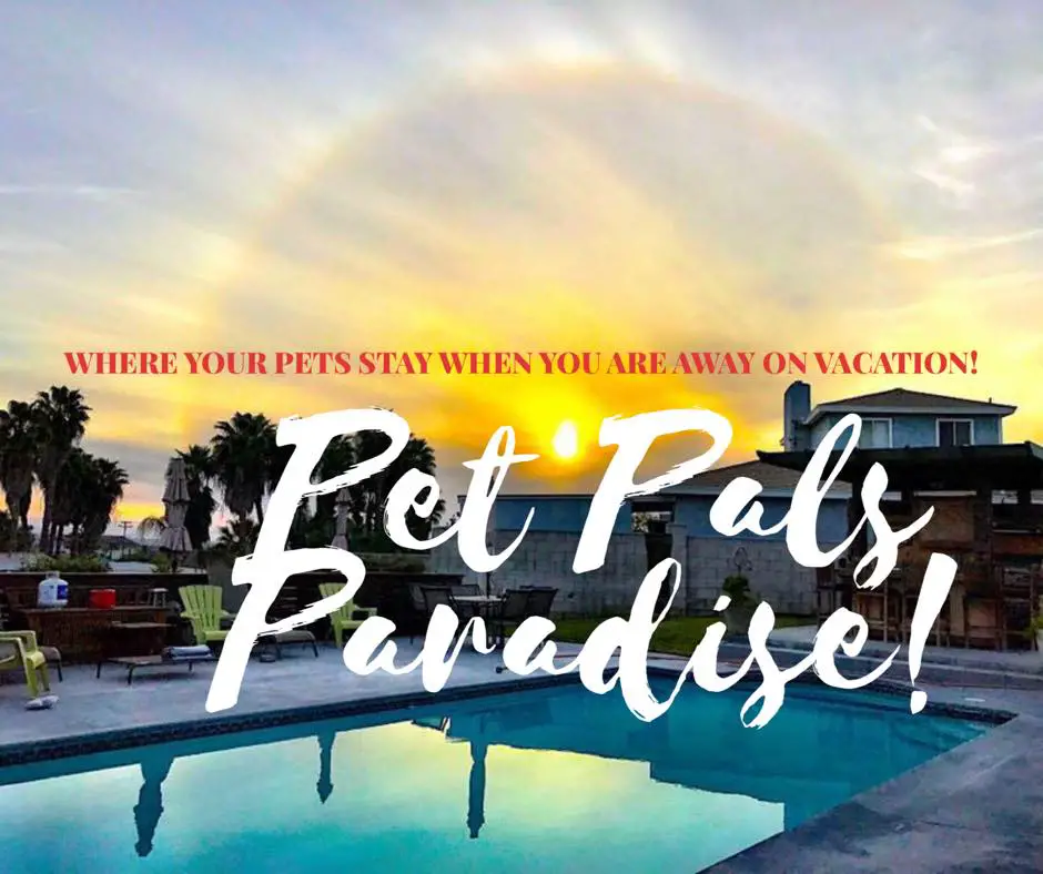 Company logo of Pet Pals Paradise