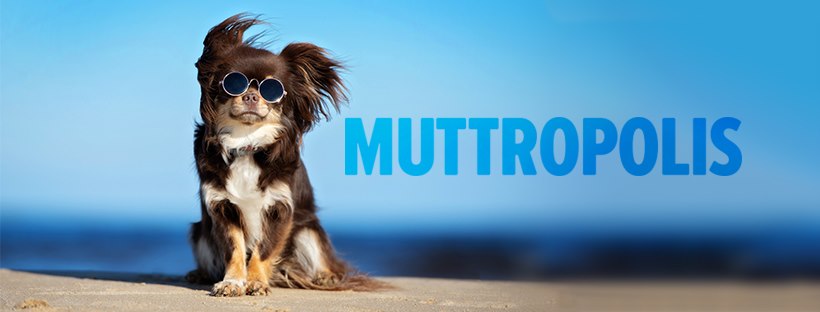 Muttropolis Solana Beach