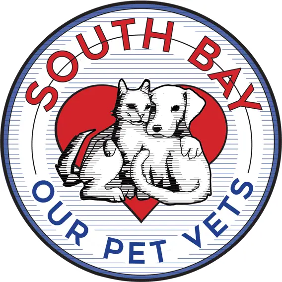 Company logo of South Bay Veterinary Hospital