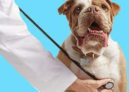 VETCO Vaccination Clinic at PETCO