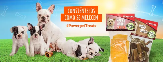 Power Pet Co. Inc