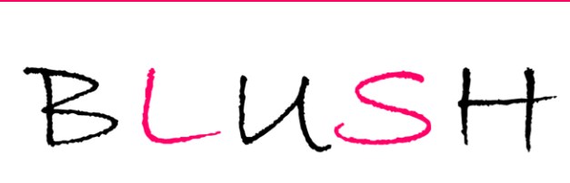 Company logo of Blush Salon LLC