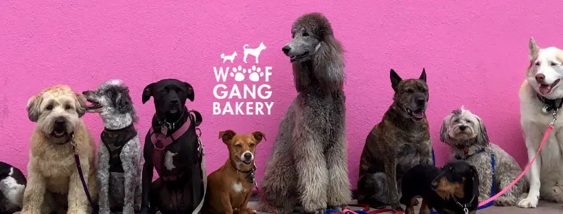 Woof Gang Bakery & Grooming Van Aken