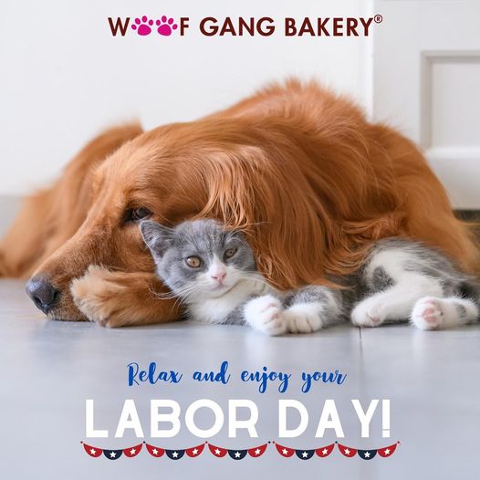 Woof Gang Bakery & Grooming Van Aken