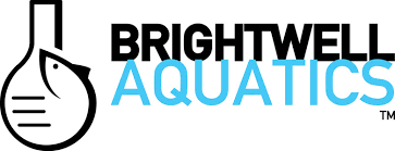 Company logo of Blue Fish Aquariums