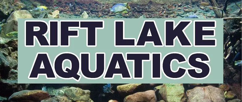 Company logo of Rift Lake Aquatics