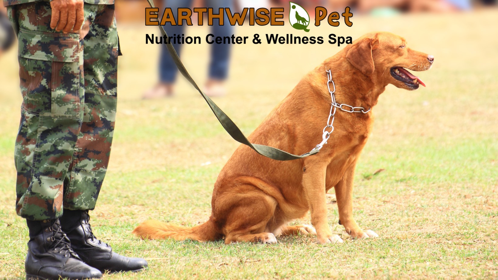 EarthWise Pet - Avon Lake