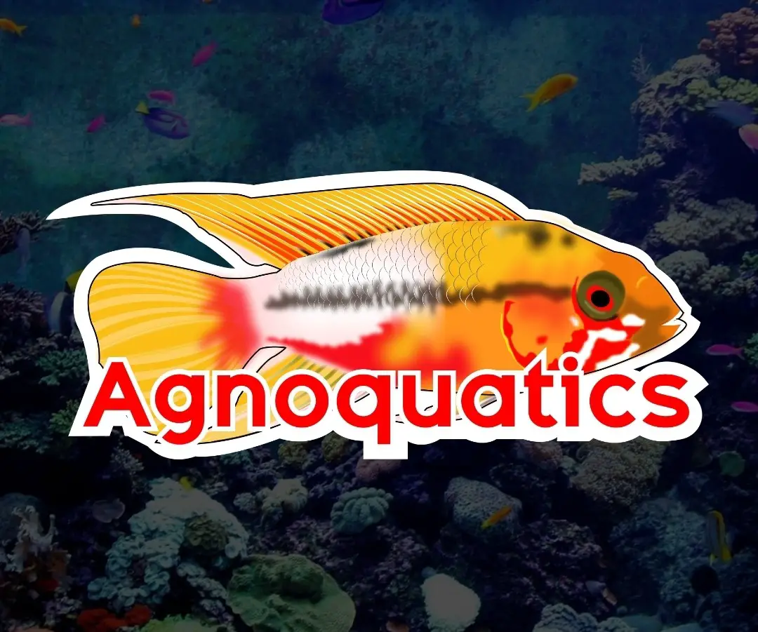 Company logo of Agnoquatics