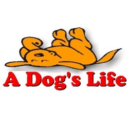 Company logo of A Dog's Life of Chesterland, LLC