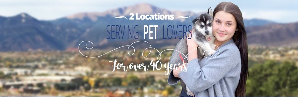 Pet City Pet Shops