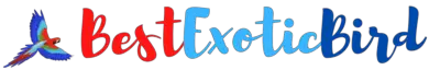 Company logo of Exotic Birds Shop