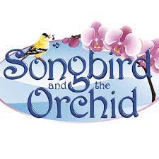 Company logo of Songbird & the Orchid - Wild Bird Store