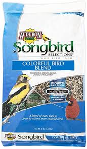 Songbird & the Orchid - Wild Bird Store