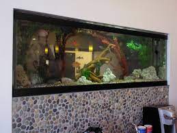 Aquarium Leasing and Sales