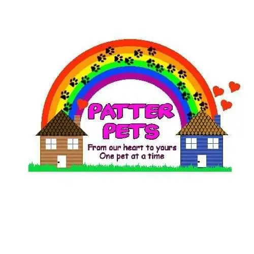 Company logo of 4 Paws Thrift Store